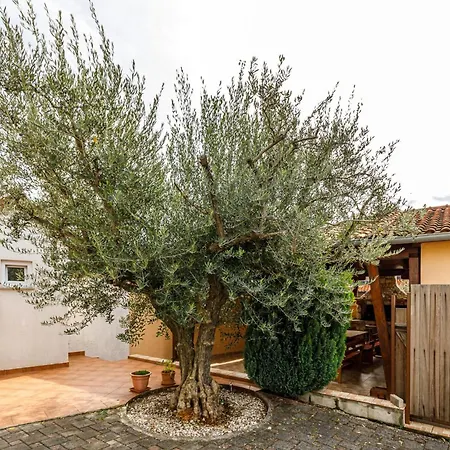 Casa Etruscana Holiday home *
